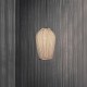 A-Emotional Light Coral Galaxea