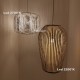A-Emotional Light Coral Galaxea