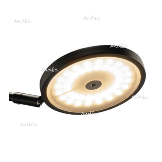 Holtkoetter Optional Acrylic Disc 112076