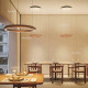 Lodes Tidal Suspension