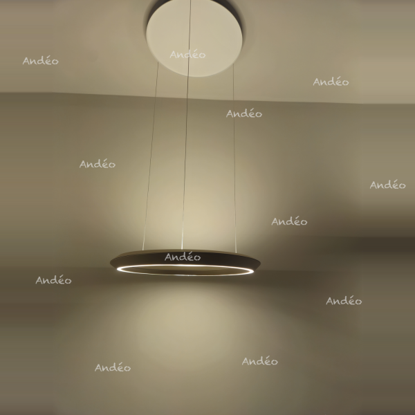 Lodes Tidal Suspension