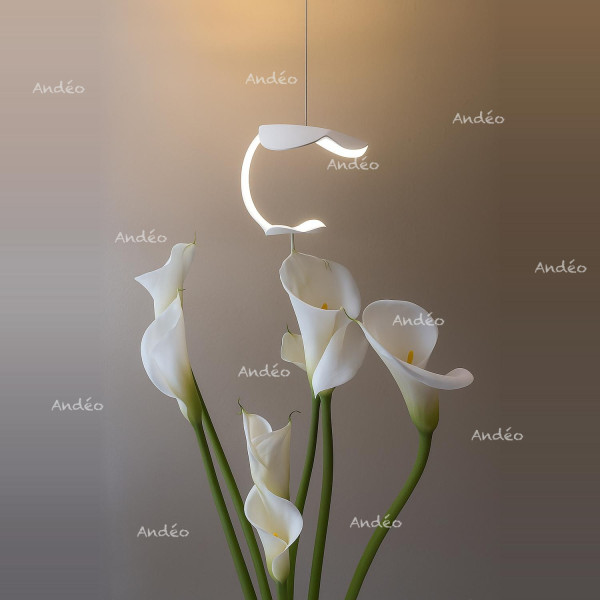 Knikerboker Le Gigine A1