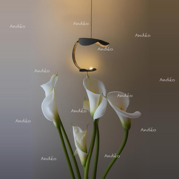 Knikerboker Le Gigine A1