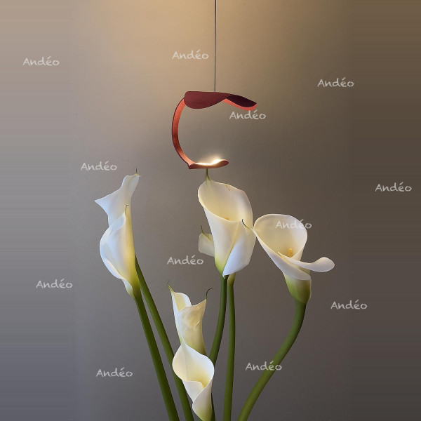 Knikerboker Le Gigine A1