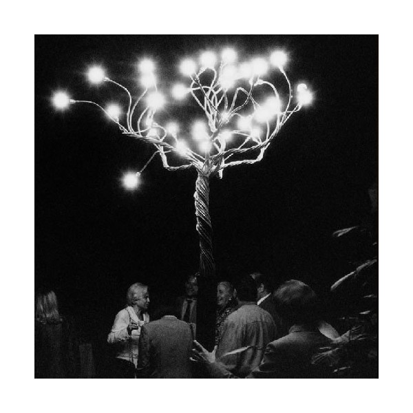 Catellani & Smith Albero Della Luce
