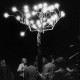 Catellani & Smith Albero Della Luce