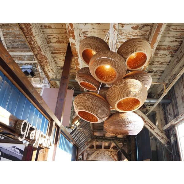 Graypants Disc