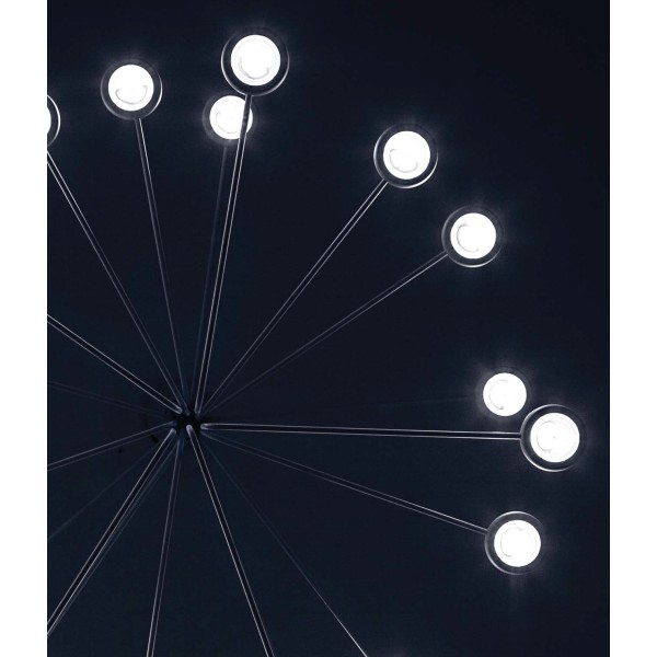 Icone Luce Arbor