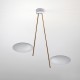 Catellani & Smith Lederam C2