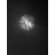 Lodes Puzzle Round