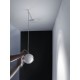 Lodes Spider