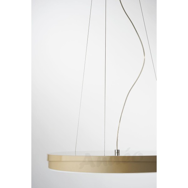 Zava Luce Loola Suspension